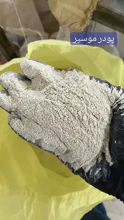 پودر موسیر (۱۰۰ گرمی)