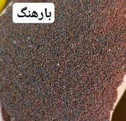 بارهنگ