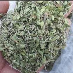 آویشن ۱۰۰ گرمی