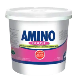 Amino Boost