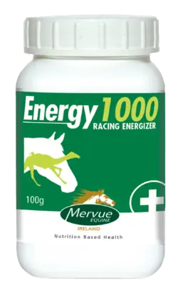 Energy 1000