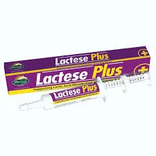 Lactose Plus mervue