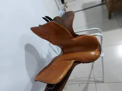 زين اشتوبن پشت گرد 228
