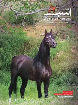 مجله دنياي اسب شماره 64