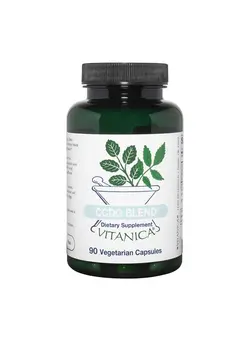 ویتامین و ساپلیمنت مکمل‌های گوارشی CCDG Blend, Immune Support, DIM Supplement 200mg, Turkey Tail Mushroom, Turmeric, Green Tea, Vegan, 90 Capsules