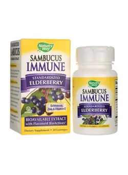 ویتامین و ساپلیمنت مکمل‌های گوارشی Sambucus Immune Dietary Supplement - 30 Lozenges