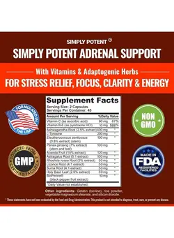 ویتامین و ساپلیمنت مکمل‌های گوارشی Adrenal Support Supplements - 90 Capsules, Adrenal Fatigue Supplement with Adaptogens - Ashwagandha Rhodiola Ginseng for Adrenal Cortex Health & Energy, Daily Cortisol Relief Support for Women & Men
