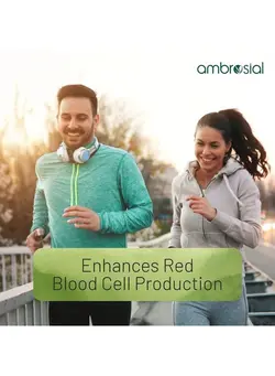 ویتامین و ساپلیمنت مکمل‌های گوارشی Ambrosial Iron Tablets High Strength 25mg| Iron Supplements for Women & Men Blood Support & Helps Reduce Tiredness & Fatigue | Enhanced Absorption & Non - Constipating (Pack of 1-60 Capsules)