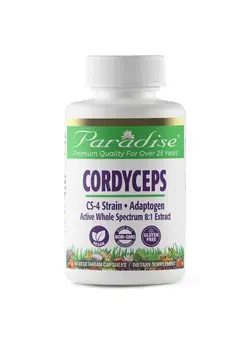 ویتامین و ساپلیمنت مکمل‌های گوارشی Cordyceps Cs4 Extract Vegan Antioxidant Non Gmo Gluten Free 60 Vegetarian Capsules