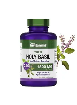 ویتامین و ساپلیمنت مکمل‌های گوارشی Tulsi Holy Basil Capsules (1600 Mg X 240 Capsules) ; May Promote Stress & Frustration Relief* ; Tulsi Holy Basil Leaf Powder Extract ; Adaptogenic & Ayurvedic Herb ; Tnvitamins