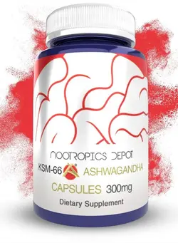 ویتامین و ساپلیمنت مکمل‌های گوارشی KSM-66 Ashwagandha Capsules | 300mg | 180 Count | Withania somnifera Extract | Ayurvedic Herb | Adaptogen Supplement | Stress + Promote Relaxation* | Energy, Memory + Focus*