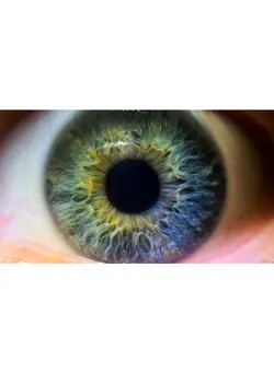 لنز و لوازم جانبی لوازم جانبی Nikon COOLPIX P900/P950 10x High Definition 2 Element Close-Up (Macro) Lens (67mm) 