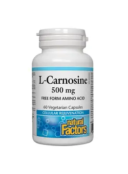 ویتامین و ساپلیمنت مکمل‌های گوارشی Natural Factors, L-Carnosine 500 mg, Supports Healthy Aging, Muscle and Brain Function, Dietary Supplement, 60 capsules (60 servings)