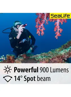 لنز و لوازم جانبی سایر Sea Dragon Mini 900S Compact LED Dive Light (SL653) 
