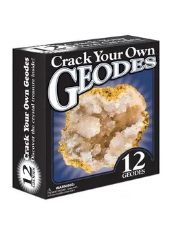 یادگیری و آموزشی سایر Break Open 12 Geodes Geode Kit With 12 Premium Break Your Own Geodes Filled With Crystals Geology Gifts Science Toys Earth Science Kit Crystals For Kids Fun Stuff For Kids 