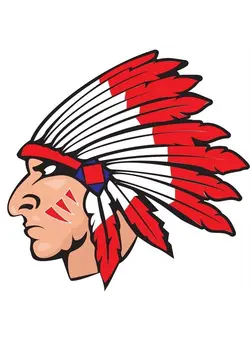 زیبایی و آرایش سایر Anderson's 25-Piece Indian Chief Head Body Decal Set, Tattoos, Cheek Cheers, Fan Gear 