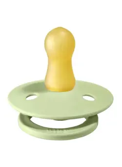 تغذیه و نگهداری کودک پستانک Pacifier Size 1,  Baby 0-6M , 1-piece - Pistachio 