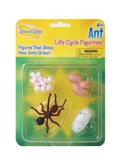 یادگیری و آموزشی سایر 4-Piece Ant Life Cycle Figurines 06110 