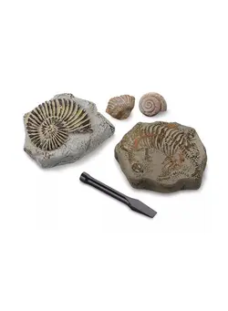 یادگیری و آموزشی سایر Toy Excavation Kit Mini Fossil 2PC ‎22.86 x 22.86 x 7.11cm 