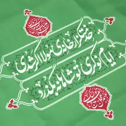 کاور خادم پاناما با شعار خدمتگزار خانه مولا اگر شدی ایام نوکری تو شاهانه بگذرد (700617)