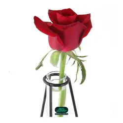 گلدان شیشه ای با پایه فلزی طرح ای گل یاس گل نرگس تو می آید