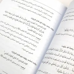 کتاب حقیقت تلخ - نگاهی کوتاه و استدلالی به مصیبت حضرت صدیقه شهیده