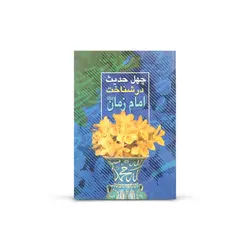 کتاب چهل حدیث در شناخت امام زمان