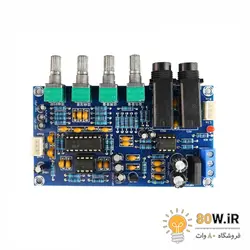 برد اکو و پری آمپلی فایر حرفه ای XH-M173