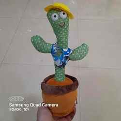 خرید اسباب بازی کاکتوس سخنگو شارژی آهنگ انگلیسی به قیمت عالی