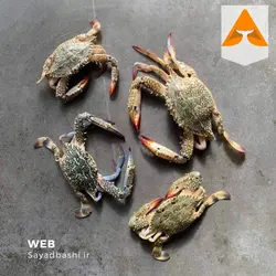 خرچنگ آبی تازه و خوشمزه