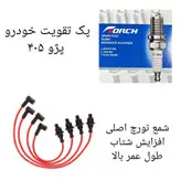 پکیج تقویتی خودرو پژو ۴۰۵ ، سمند ، پارس ( پک ویژه نوروز )