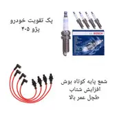 پکیج تقویتی خودرو پژو ۴۰۵ ، سمند ، پارس ( پک ویژه نوروز )