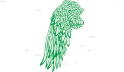 طرح وکتور بال پرنده