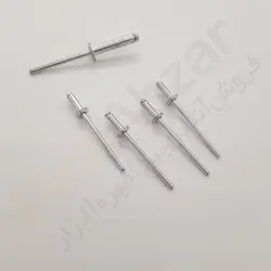 قیمت و خرید میخ پرچ گل پهن 12*4 پرچ ساز بسته 600عددی - پیچ ابزار