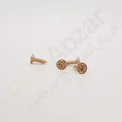 قیمت و خرید پیچ آنتیک طلایی ریز 10*2 عمده - پیچ ابزار