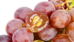 روغن هسته انگور