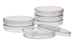 پلیت پلاستیکی استریل تک خانه (پتری دیش)، قطر 8 سانتیمتری (فرازبین)