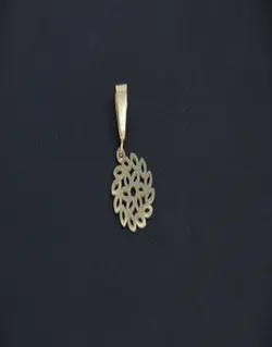 پلاک طلا روشنا