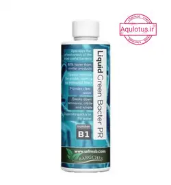 محلول باکتری مفید آکواریوم برگچین (گرین باکتر پی آر)