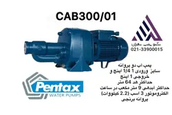 پمپ آب پنتاکس ٣ اسب ٢ پروانه برنجی تکفاز ایتالیا(CAB310/01)
