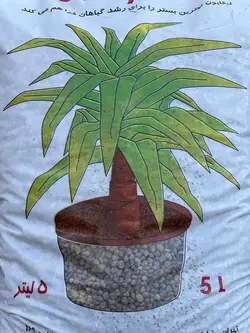 لیکاپون (پوکه معدنی)