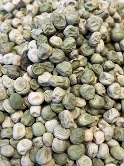 بذر نخود فرنگی پفکی رقم آسگرو‌