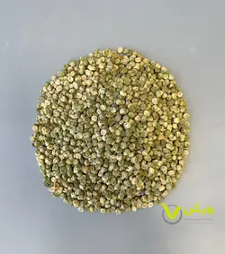 بذر نخود فرنگی ولف