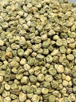 بذر نخود فرنگی ولف