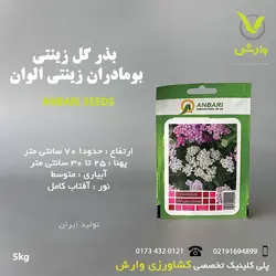بذر گل زینتی بومادران زینتی الوان