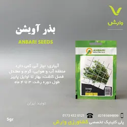 بذر آویشن