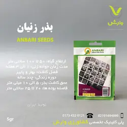 بذر زنیان