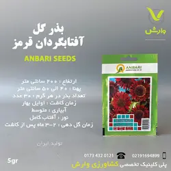 بذر گل آفتابگردان قرمز