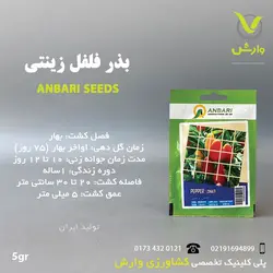 بذر فلفل زینتی