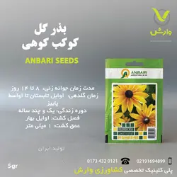بذر گل کوکب کوهی